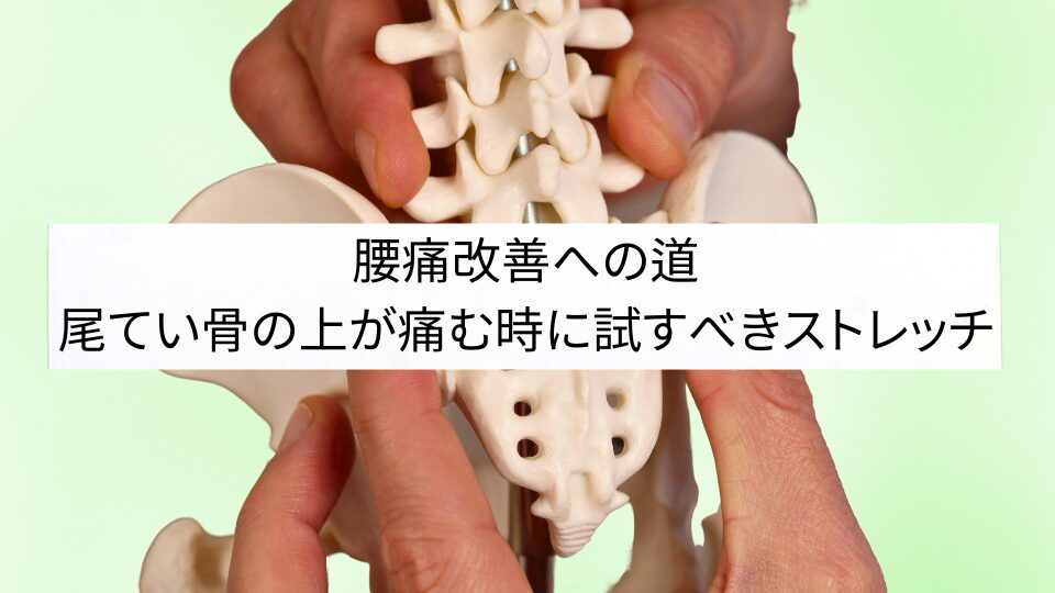 腰痛改善への道　尾てい骨の上が痛む時に試すべきストレッチ